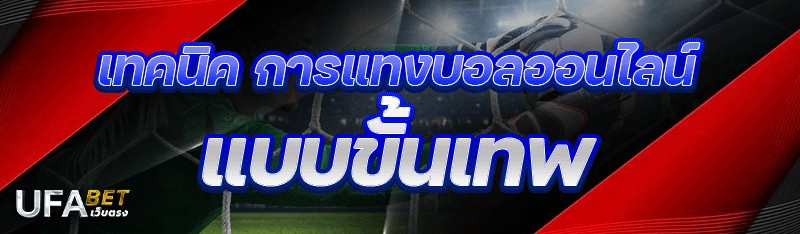 เทคนิคการ แทงบอลออนไลน์ แบบขั้นเทพ 