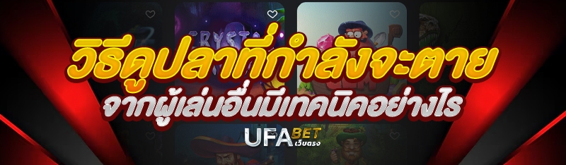 วิธีดูปลาที่กำลังจะตายจากผู้เล่นอื่นมีเทคนิคอย่างไร