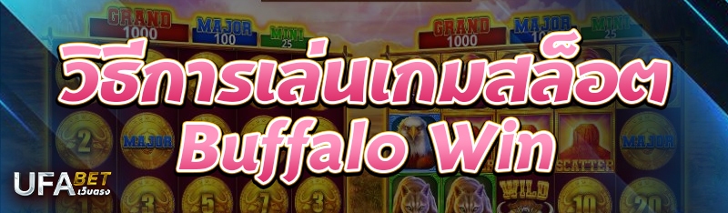 วิธีการเล่นเกมสล็อต Buffalo Win